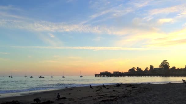 Stille Oceaan Bij Capitola Aan Zee Californië Usa — Stockvideo