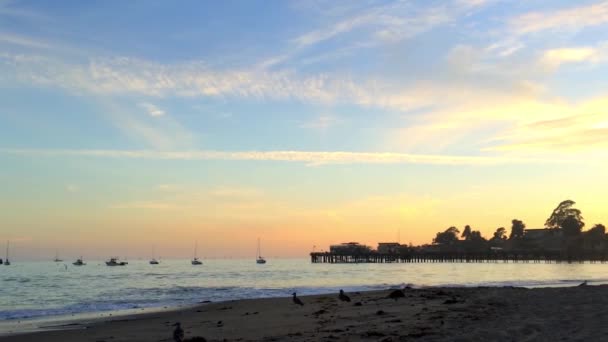 Oceano Pacifico Capitola Riva Mare California Usa — Video Stock