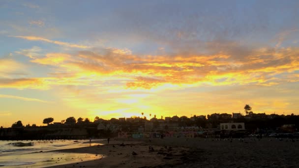 Pacific Ocean Capitola Sea California Usa — Stock Video