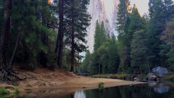 Vue Sur Forêt Avec Lac Montagne Dans Parc National Yosemite — Video