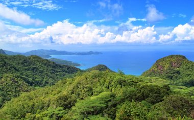 Seyşeller Adaları 'ndaki güzel tropikal orman. Başkenti Victoria olan 115 kişilik ada anakaranın 1500 kilometre doğusunda yer almaktadır.