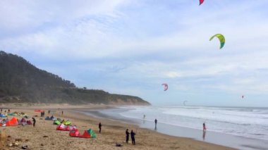 Big Basin State Beach, California - 28 Şubat 2016: Kaliforniya 'daki Big Basin State Beach' te uçurtma sörfçüleri 