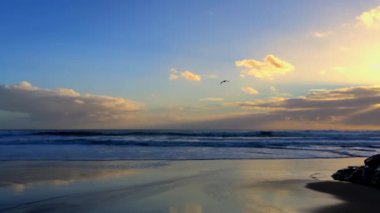 Doğal Köprüler Eyalet Plajı, Santa Cruz California, ABD