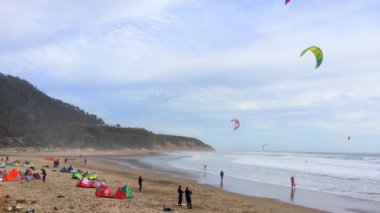 Big Basin State Beach, California - 28 Şubat 2016: Kaliforniya 'daki Big Basin State Beach' te uçurtma sörfçüleri 