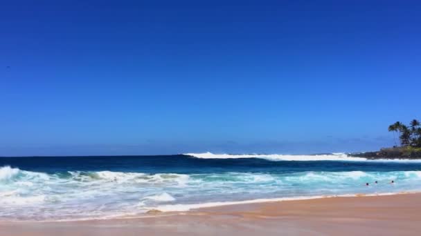 夏威夷附近太平洋海浪的壮丽景观 — 图库视频影像