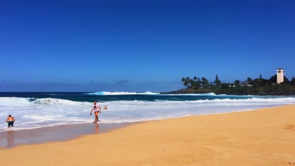 Underbar Utsikt Över Landskapet Stilla Havet Vågor Nära Hawaiian — Stockvideo