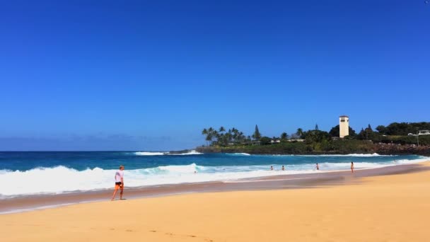 Pemandangan Yang Indah Gelombang Laut Pasifik Dekat Hawaii — Stok Video