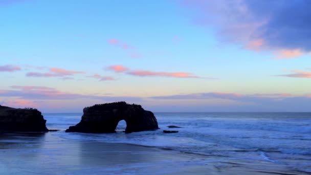 Natural Bridges State Beach Tramonto Santa Cruz California Usa — Video Stock