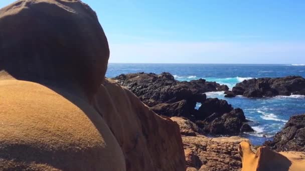 カリフォルニア州自然保護区のどこかで自然の景色の豪華な映像 Point Lobos California — ストック動画