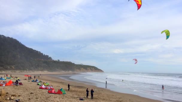 加州大盆地州海滩的风筝冲浪者 — 图库视频影像