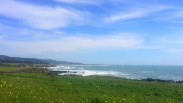 Όμορφο Καλιφορνέζικο Τοπίο Στο Half Moon Bay Venice Beach Pillar — Αρχείο Βίντεο