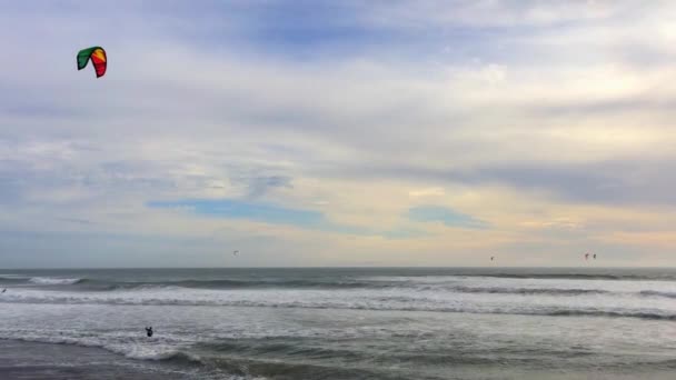 Big Basin State Beach Καλιφόρνια Φεβρουάριος 2016 Kite Surfers Στο — Αρχείο Βίντεο