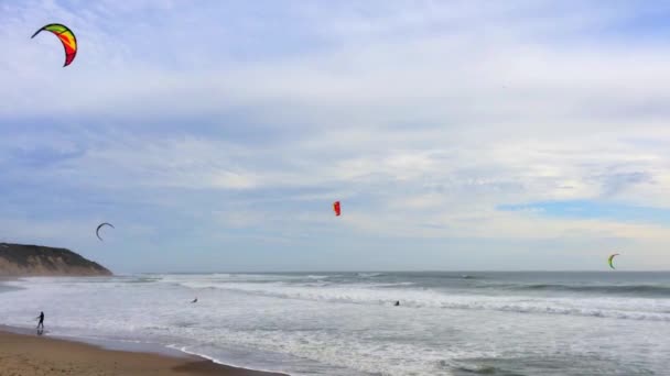 Big Basin State Beach Καλιφόρνια Φεβρουάριος 2016 Kite Surfers Στο — Αρχείο Βίντεο