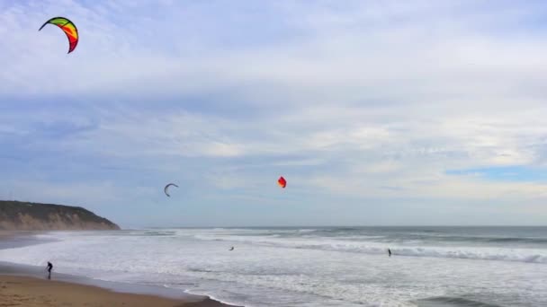 Big Basin State Beach Kalifornien Februari 2016 Kite Surfare Vid — Stockvideo