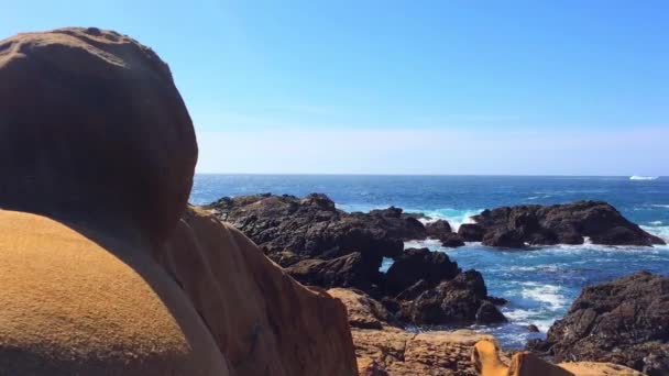 Nádherné Záběry Přírodního Výhledu Někde State Natural Reserve Point Lobos — Stock video