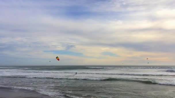 大盆地州海滩 Big Basin State Beach California 2016年2月28日 美国加州大盆地州海滩的风筝冲浪者 — 图库视频影像