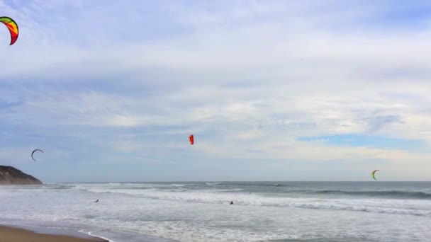 大盆地州海滩 Big Basin State Beach California 2016年2月28日 美国加州大盆地州海滩的风筝冲浪者 — 图库视频影像