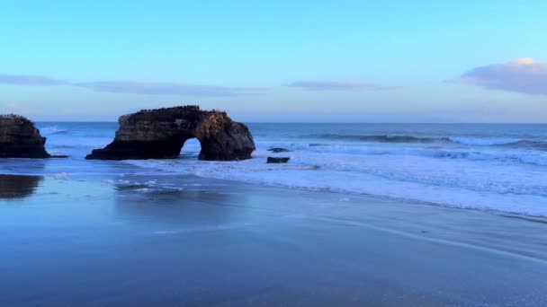 Natural Bridges State Beach Bei Sonnenuntergang Santa Cruz Kalifornien Usa — Stockvideo