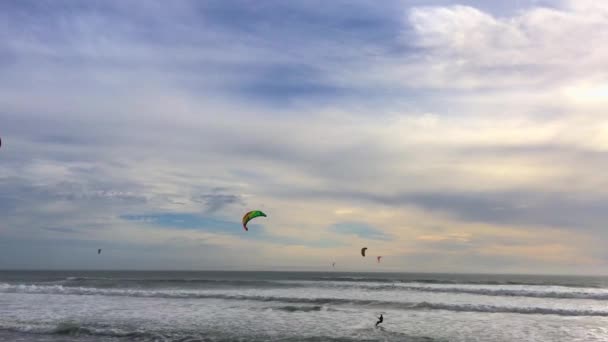 Big Basin State Beach Καλιφόρνια Φεβρουάριος 2016 Kite Surfers Στο — Αρχείο Βίντεο