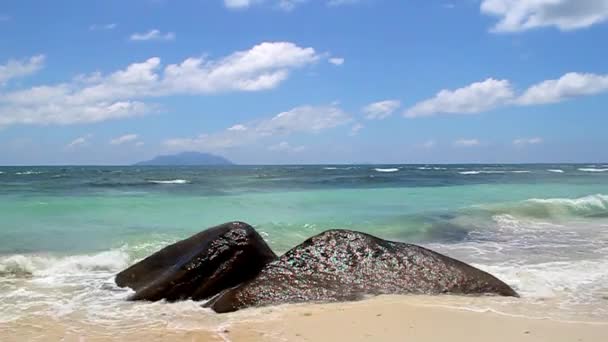 Oceano Indiano Alle Isole Seychelles Est Dell Africa Orientale Continentale — Video Stock