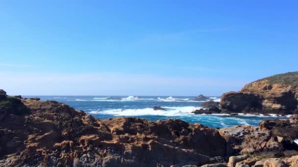 カリフォルニア州自然保護区のどこかで自然の景色の豪華な映像 Point Lobos California — ストック動画