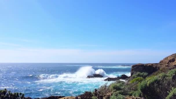 Prachtige Beelden Van Een Natuurzicht Ergens State Natural Reserve Point — Stockvideo