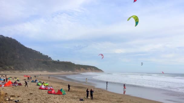 大盆地州海滩 Big Basin State Beach California 2016年2月28日 美国加州大盆地州海滩的风筝冲浪者 — 图库视频影像
