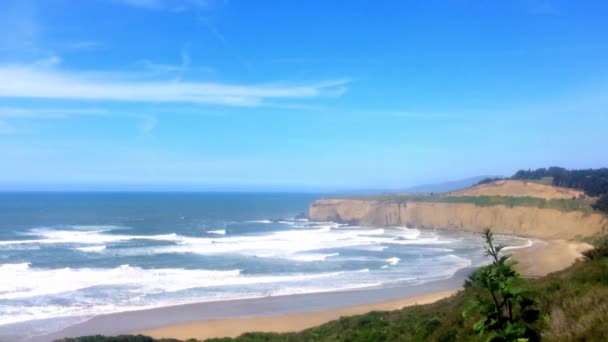 Prachtig Californisch Landschap Aan Half Moon Bay Venice Beach Pillar — Stockvideo