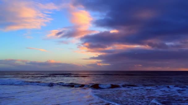 Natural Bridges State Beach Santa Cruz Californie États Unis — Video