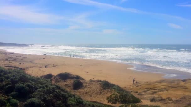 Hermoso Paisaje Californiano Half Moon Bay Venice Beach Pillar Point — Vídeos de Stock