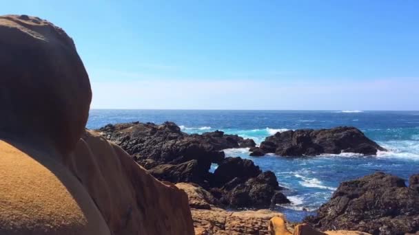 Великолепные Кадры Видом Природу State Natural Reserve Point Lobos Калифорния — стоковое видео