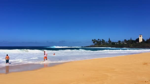 Prachtig Uitzicht Stille Oceaan Golven Spetterend Hawaïaans Strand — Stockvideo