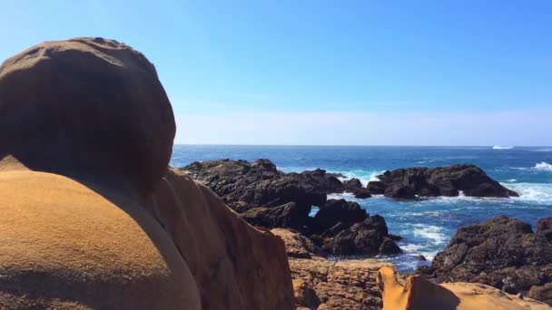 カリフォルニア州自然保護区の岩の多い海岸の豪華な映像 Point Lobos California — ストック動画