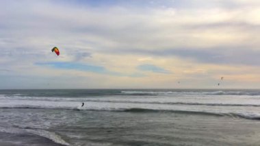 Big Basin State Beach, California - 28 Şubat 2016: Kaliforniya 'daki Big Basin State Beach' te uçurtma sörfçüleri 