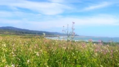Half Moon Bay, Venice Beach, Pillar Point, California 'daki güzel Kaliforniya manzarası. ABD