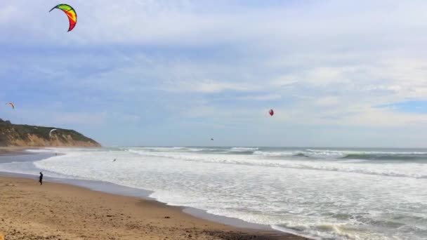 大盆地州海滩 Big Basin State Beach California 2016年2月28日 美国加州大盆地州海滩的风筝冲浪者 — 图库视频影像