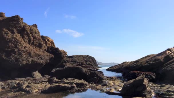 Underbara Bilder Stenig Strand State Natural Reserve Point Lobos Kalifornien — Stockvideo