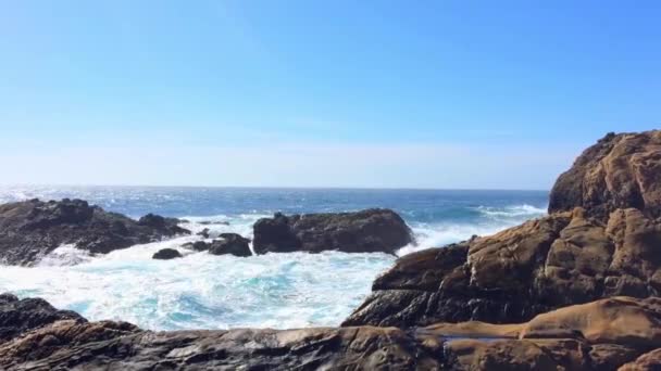 Prachtige Beelden Van Een Natuurzicht Ergens State Natural Reserve Point — Stockvideo