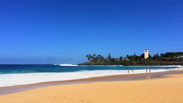 Великолепный Вид Океанские Волны Вблизи Гавайев — стоковое видео