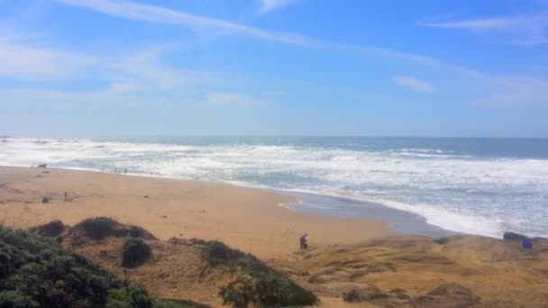 Schöne Kalifornische Landschaft Der Half Moon Bay Venice Beach Pillar — Stockvideo