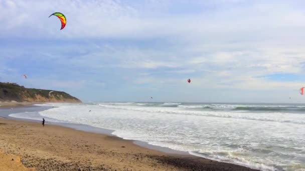 大盆地州海滩 Big Basin State Beach California 2016年2月28日 美国加州大盆地州海滩的风筝冲浪者 — 图库视频影像