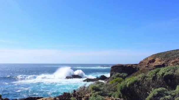 Wspaniałe Nagranie Fal Rozbryzganych State Natural Reserve Point Lobos Kalifornia — Wideo stockowe