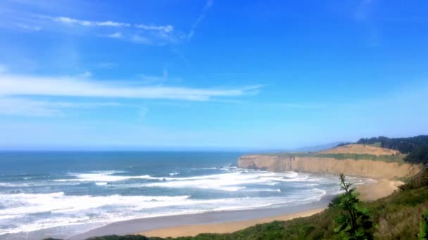 Schöne Kalifornische Landschaft Der Half Moon Bay Venice Beach Pillar — Stockvideo