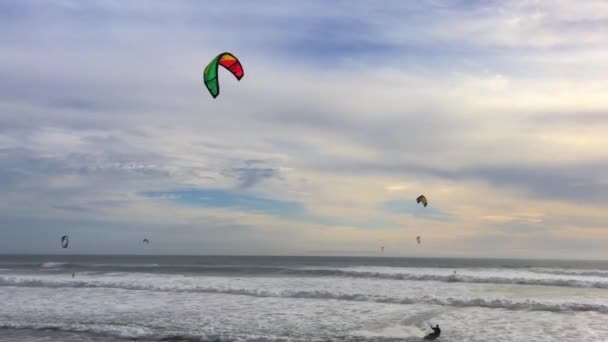 Big Basin State Beach Californie Février 2016 Surfeurs Cerf Volant — Video