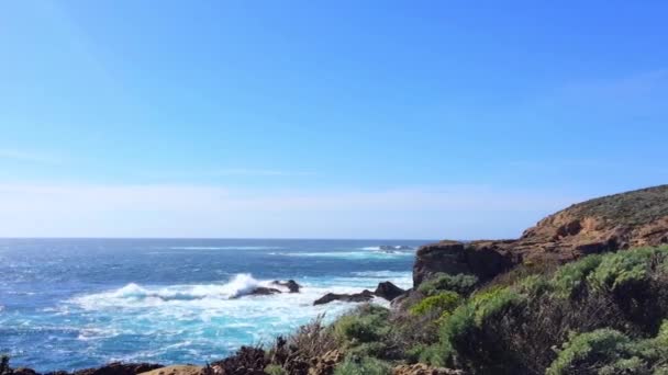 Underbara Bilder Naturutsikt Någonstans State Natural Reserve Point Lobos Kalifornien — Stockvideo