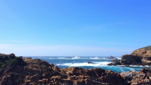 Herrliche Aufnahmen Einer Naturaufnahme Irgendwo State Natural Reserve Point Lobos — Stockvideo