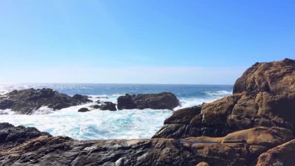 Underbara Bilder Naturutsikt Någonstans State Natural Reserve Point Lobos Kalifornien — Stockvideo