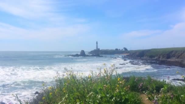 Hermoso Paisaje Californiano Half Moon Bay Venice Beach Pillar Point — Vídeos de Stock