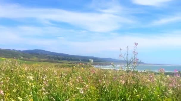 Schöne Kalifornische Landschaft Der Half Moon Bay Venice Beach Pillar — Stockvideo