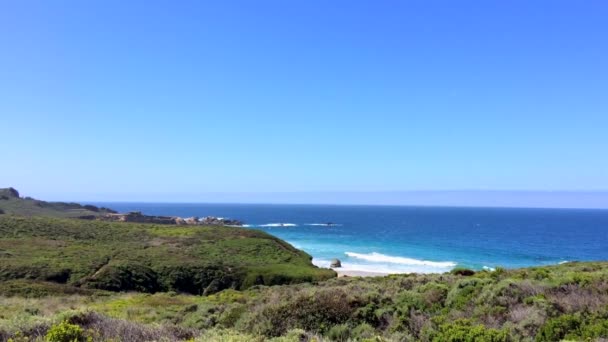 Oceano Pacifico Nell Area Del Big Sur Calla Lilly Valley — Video Stock